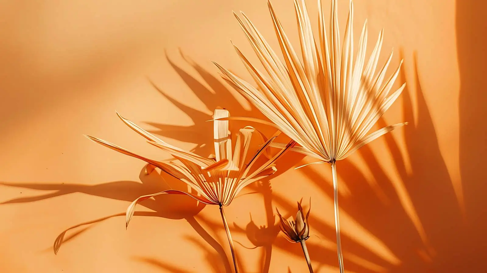 Dried Tropical Palm Leaf Stems on Orange Background — free download from Dotvec