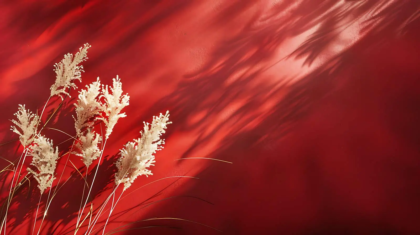 Fluffy Dried Grass on Red Background – free image for printing image from Dotvec