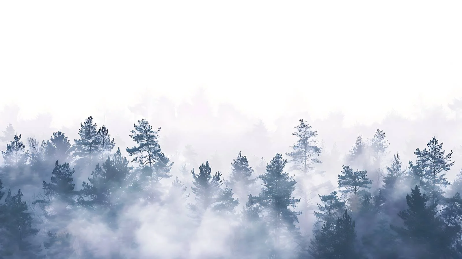 Serene Morning Fog Blanketing Forest Clearing — free download from Dotvec