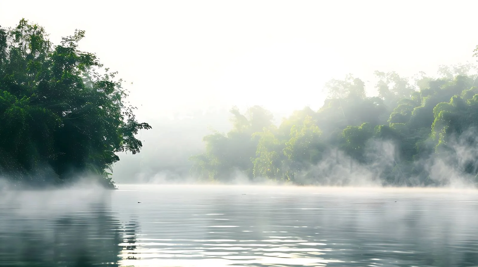 Serene River Banks in Morning Mist — free download from Dotvec