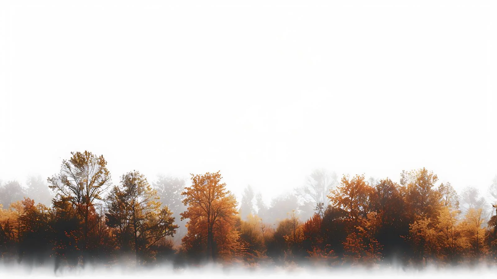 Misty autumn morning over isolated trees — free download from Dotvec