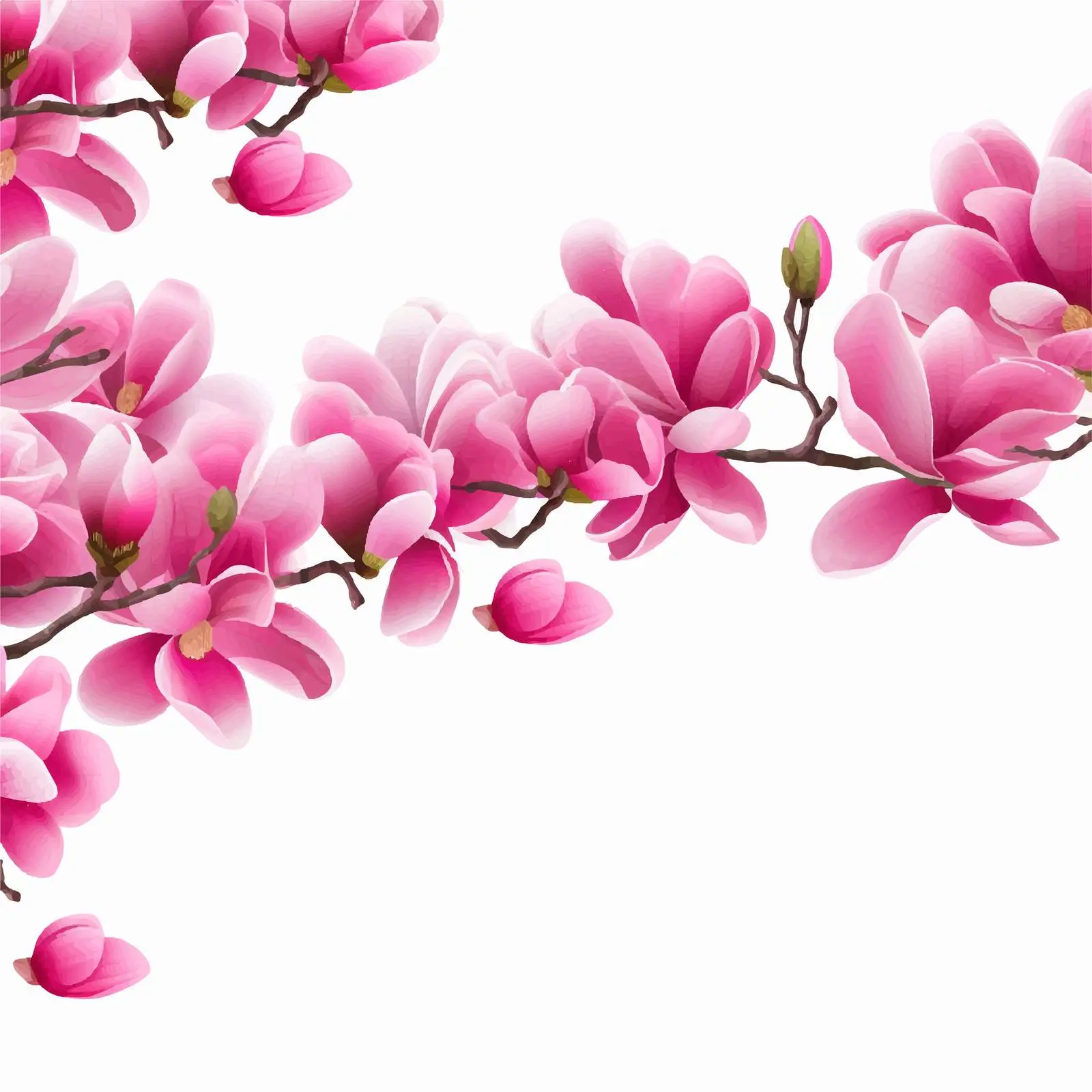 Beautiful Pink Magnolia Flowers Horizontal Border Design – free colorful graphics image from Dotvec