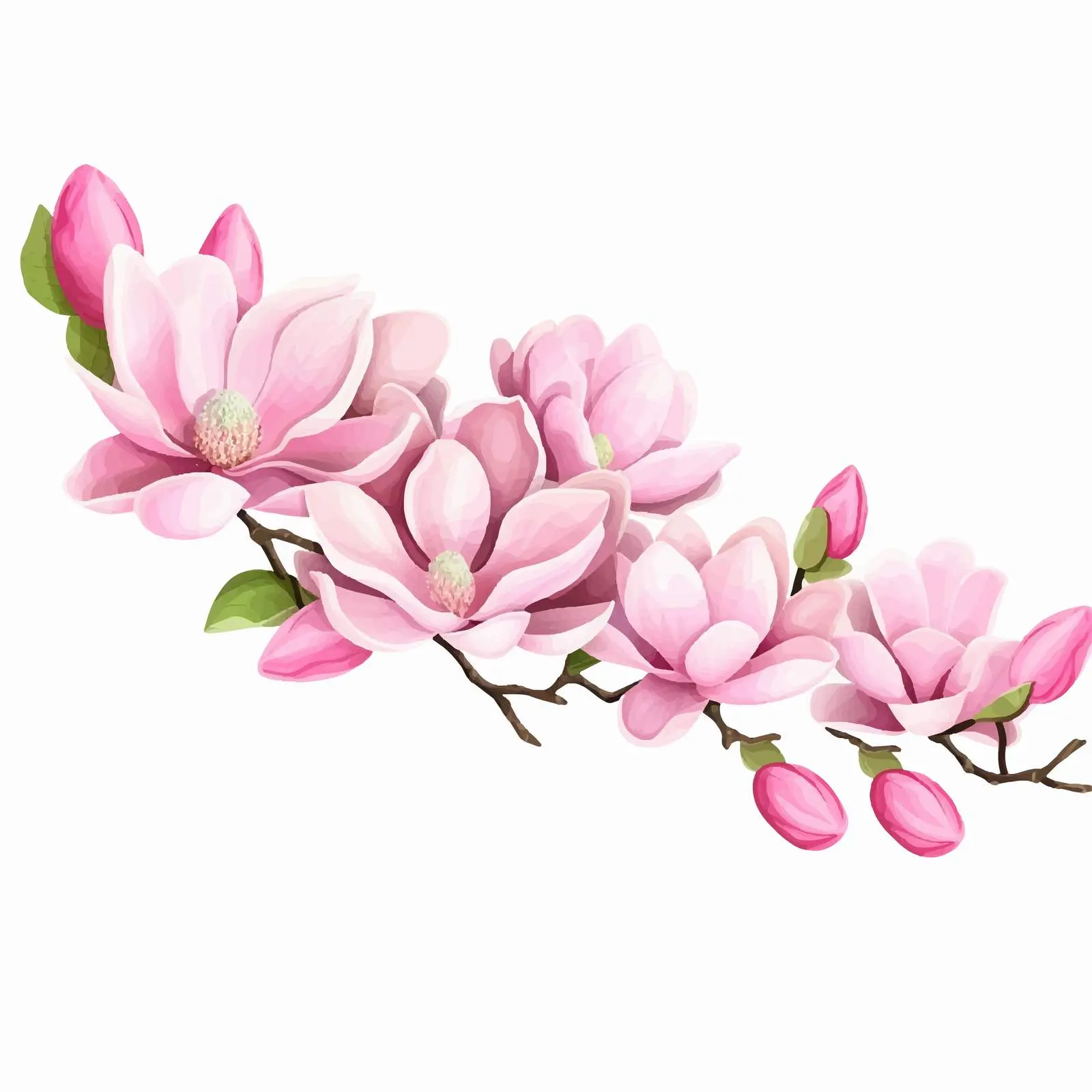 Fresh Pink Magnolia Flowers in Horizontal Frame — free download from Dotvec