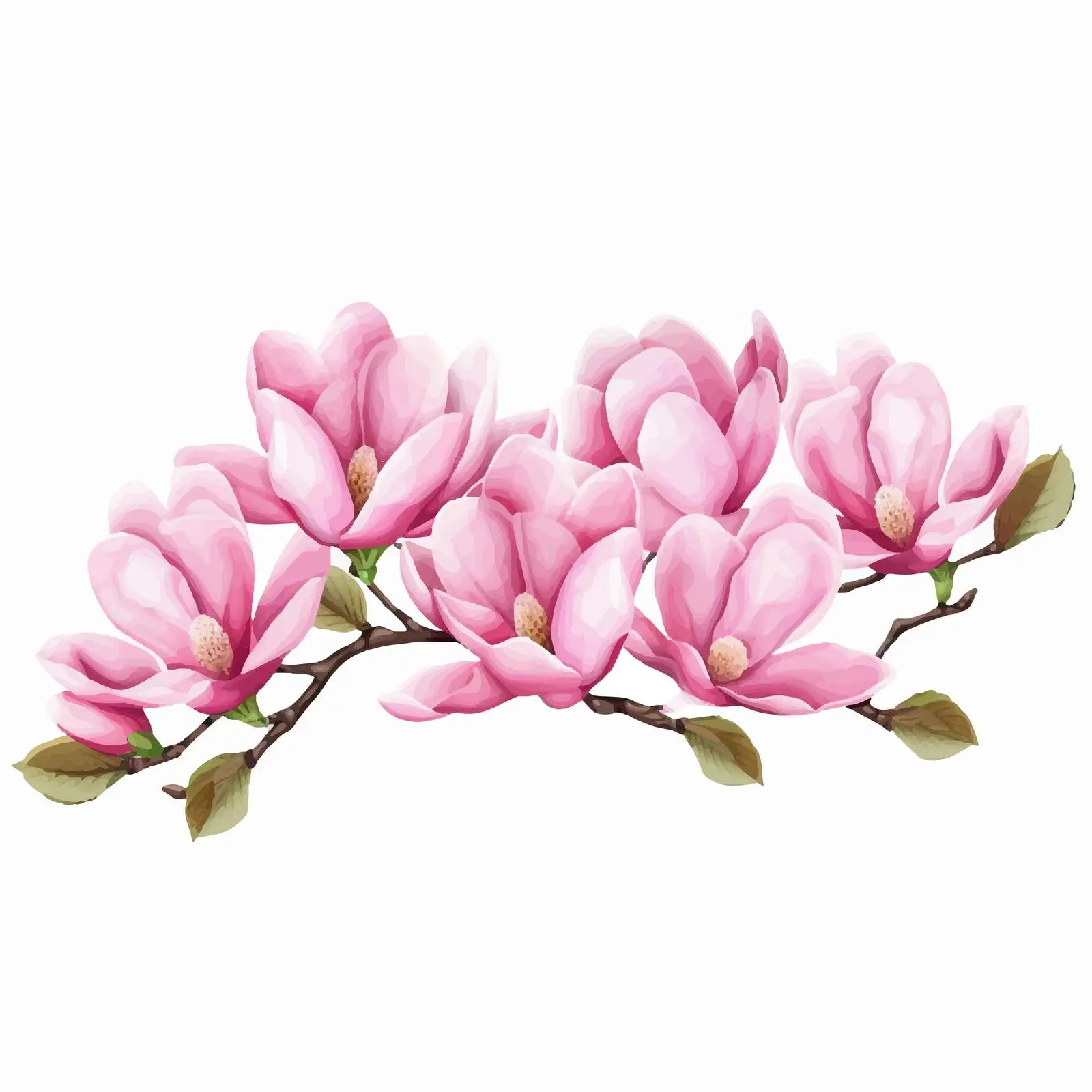 Fresh Pink Magnolia Flowers Horizontal Frame — free download from Dotvec