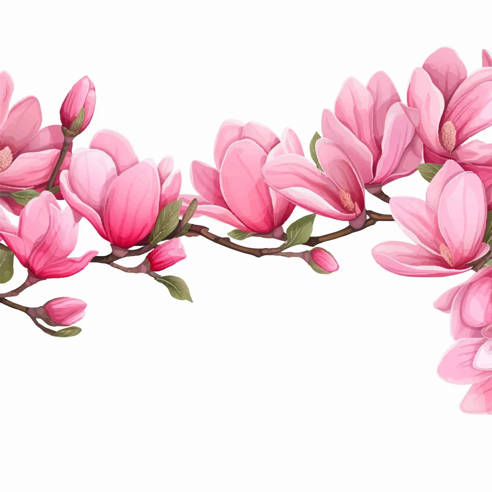 Elegant Pink Magnolia Flowers Horizontal Frame – free floral vectors image from Dotvec