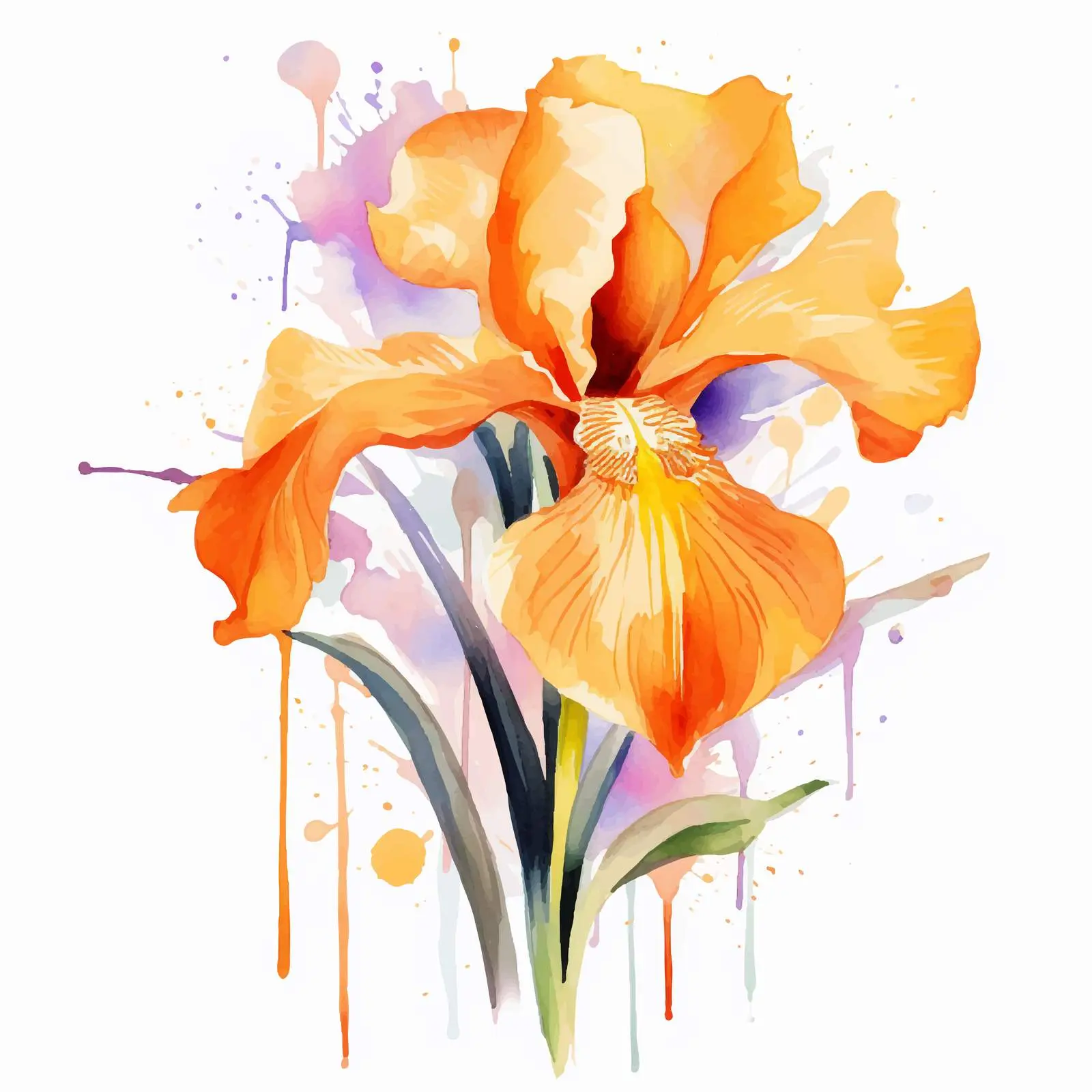 Orange Brush Stroke Iris Watercolor Vector Art — free download from Dotvec