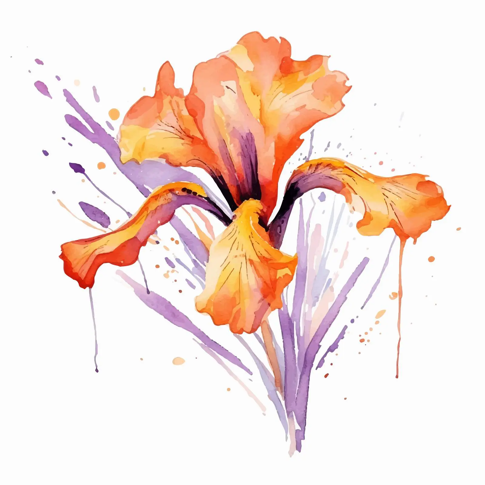 Orange Watercolor Iris Flower Vector Design — free download from Dotvec