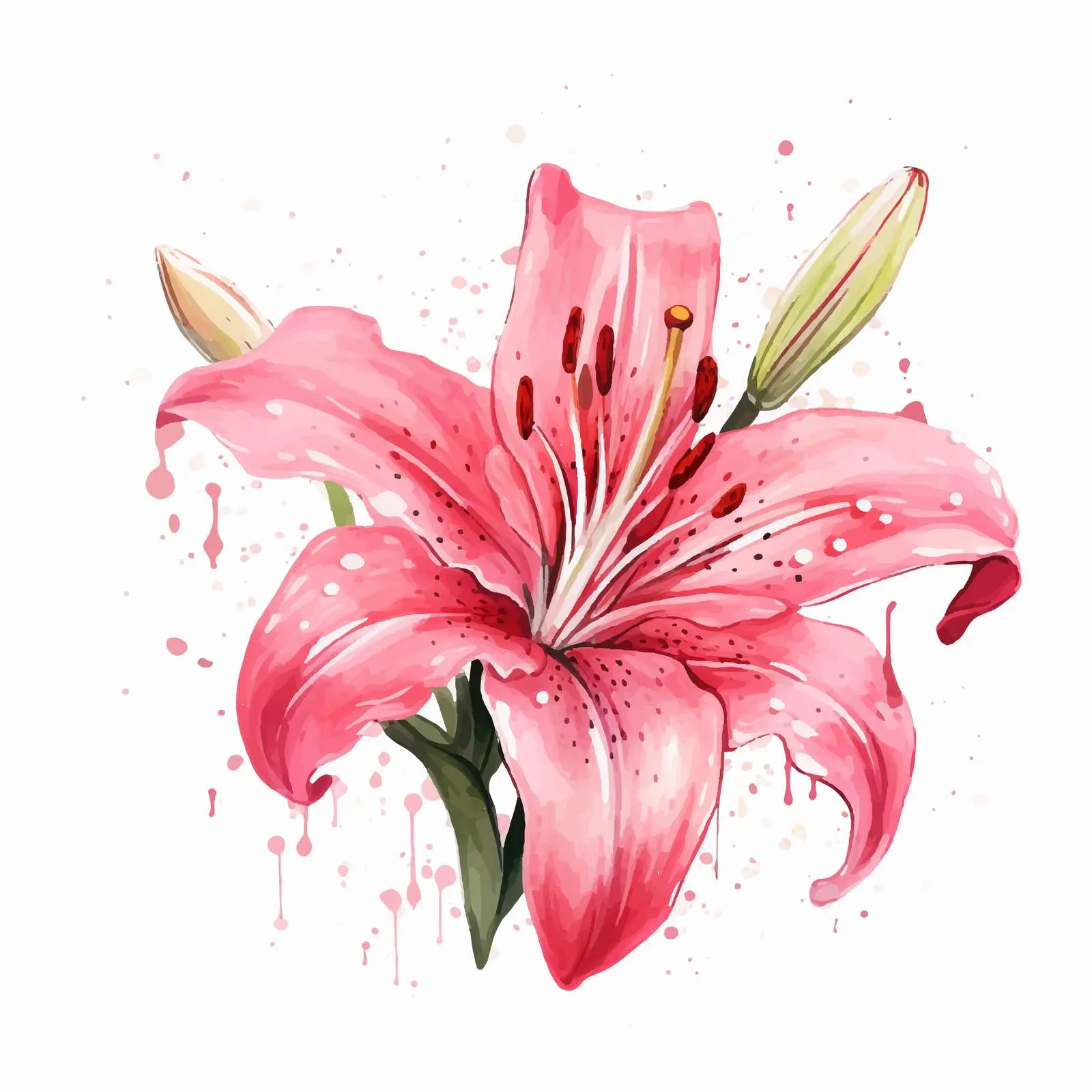 Pink Watercolor Lily Flower Vector Artwork — free download from Dotvec