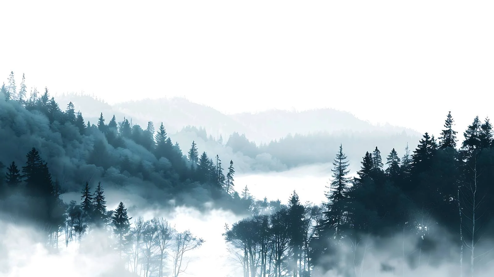 Serene Morning Glow in Secluded Woodland — free download from Dotvec