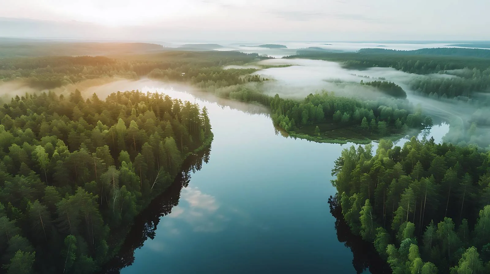 Idyllic Forest and River Morning View — free download from Dotvec