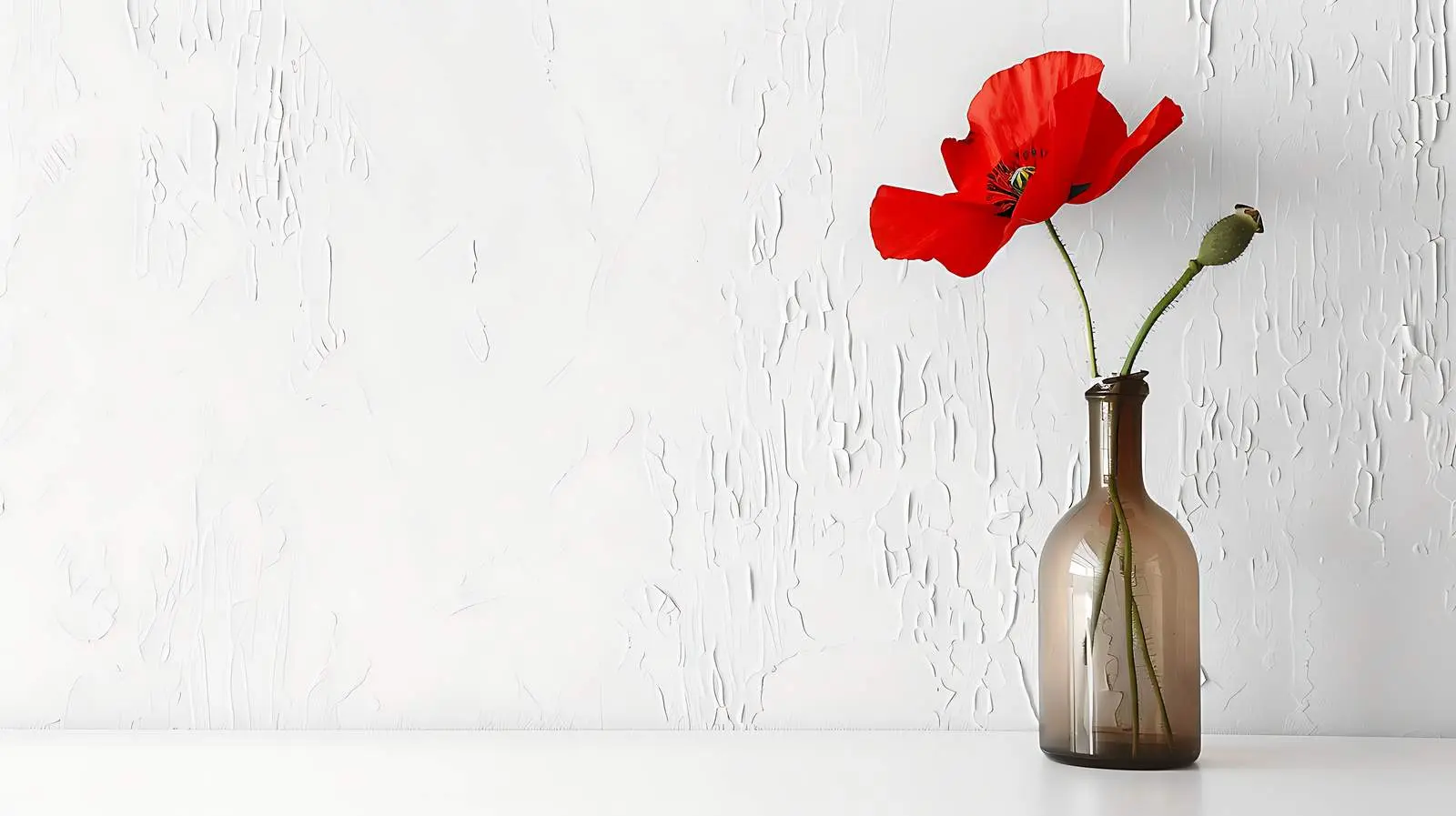 Red Poppy Flower in Bottle on White Wall — free download from Dotvec
