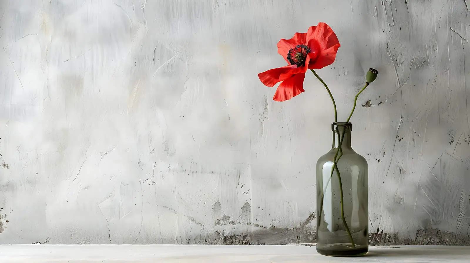 Red Poppy Flower in Bottle on White Background — free download from Dotvec