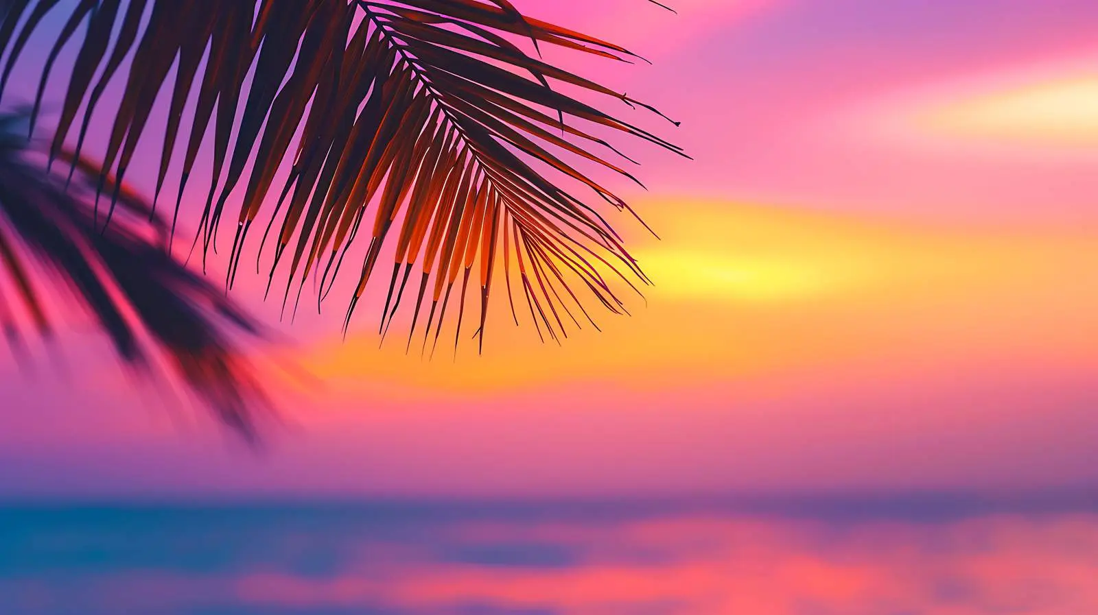 Tropical Coconut Palm Silhouette at Sunset – free viewpoint image from Dotvec