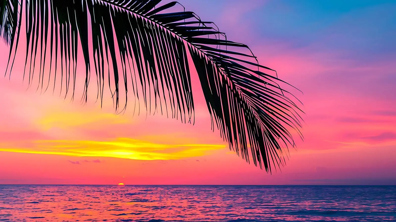 Tropical Coconut Palm Branch Silhouette – free refreshing image from Dotvec