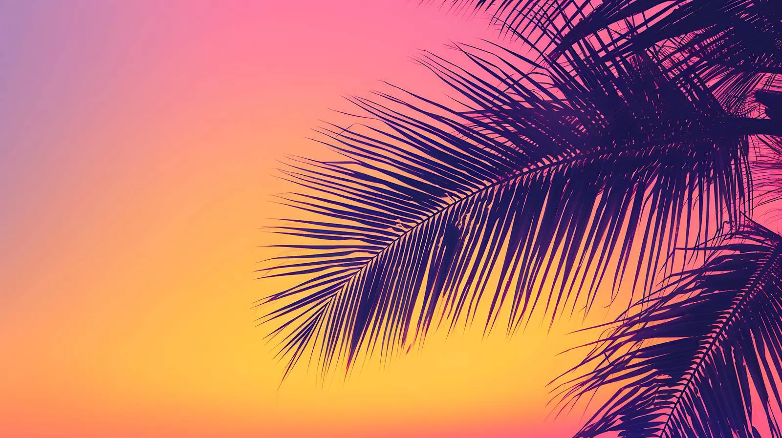 Tropical Coconut Palm Branch Silhouette — free download from Dotvec
