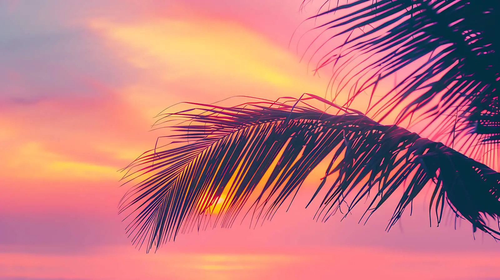 Tropical Coconut Palm Branch Silhouette — free download from Dotvec