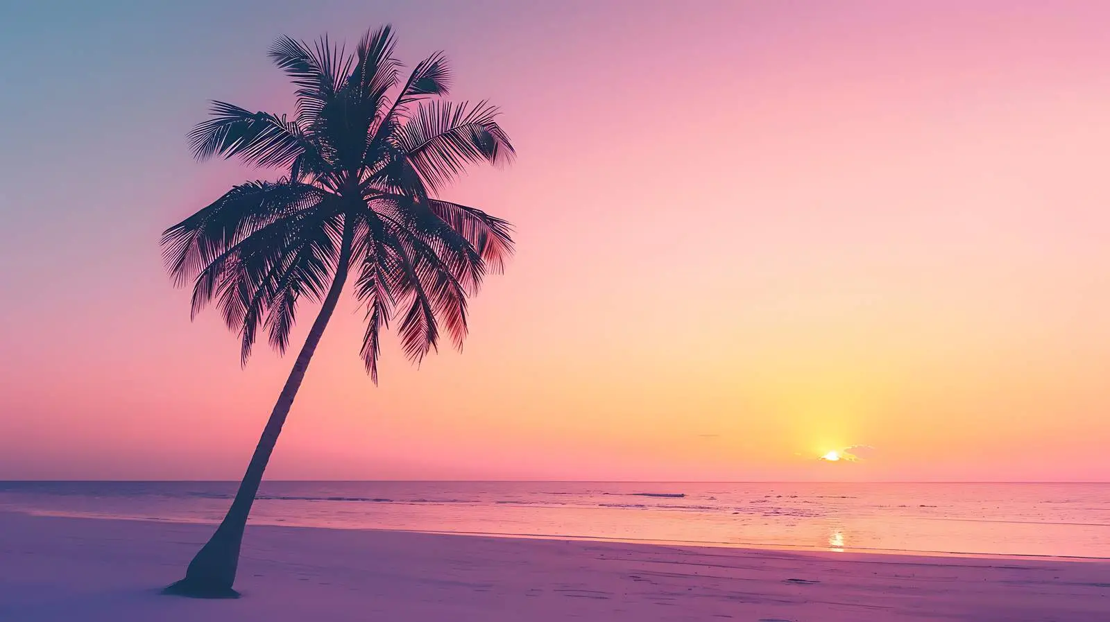 Tropical Coconut Palm Silhouette Against Colorful Background — free download from Dotvec