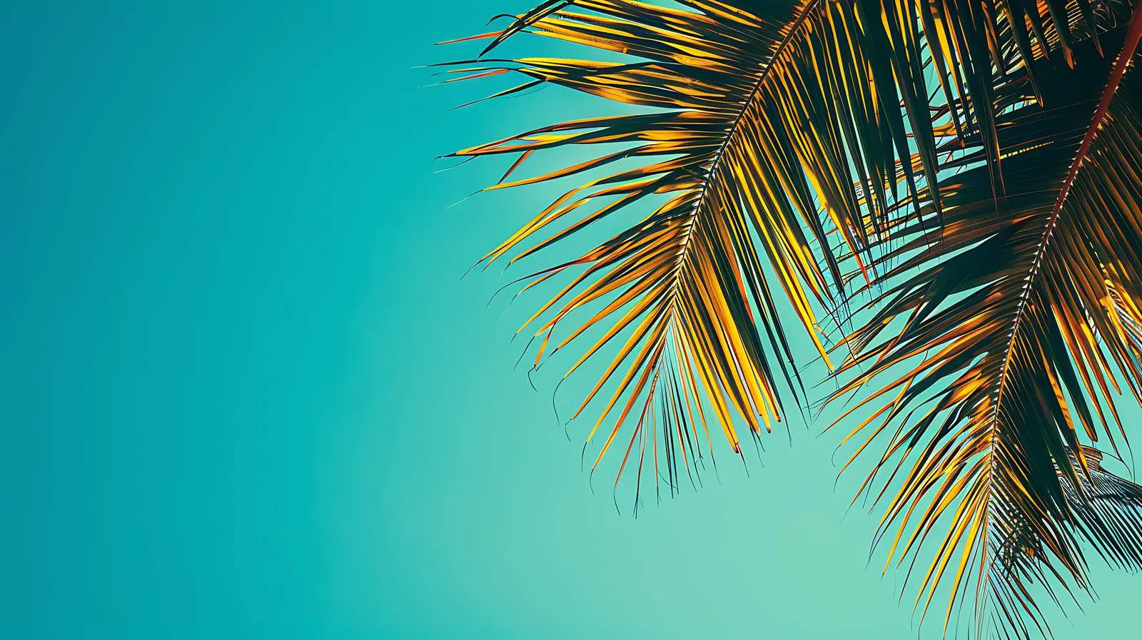 Tropical Coconut Palm Tree Silhouette at Sunset — free download from Dotvec