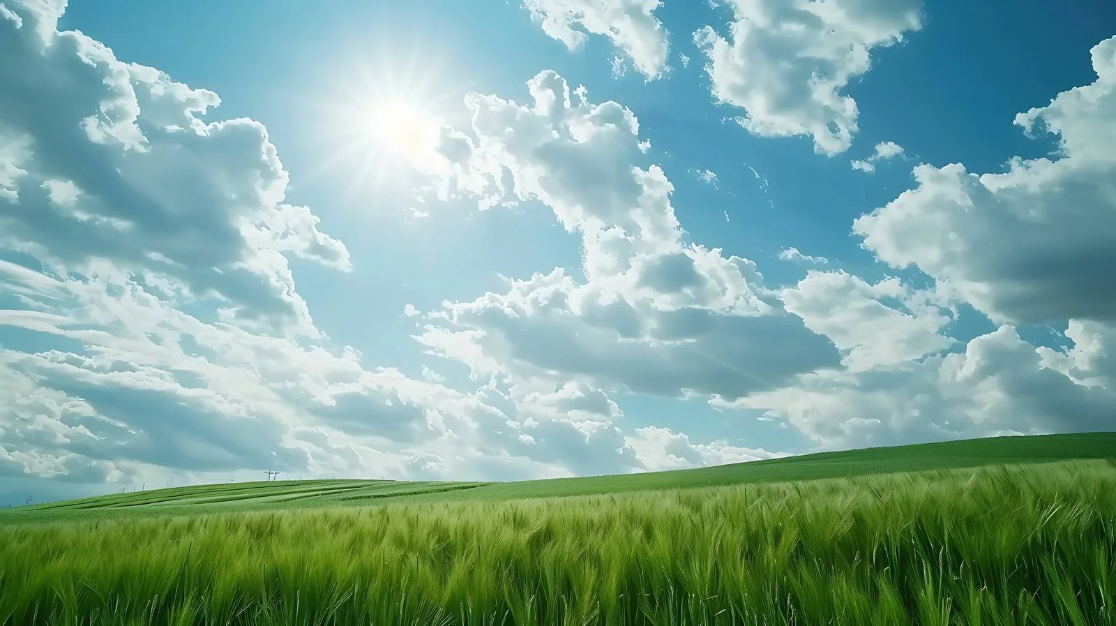 Tranquil summer scene of lush fields — free download from Dotvec