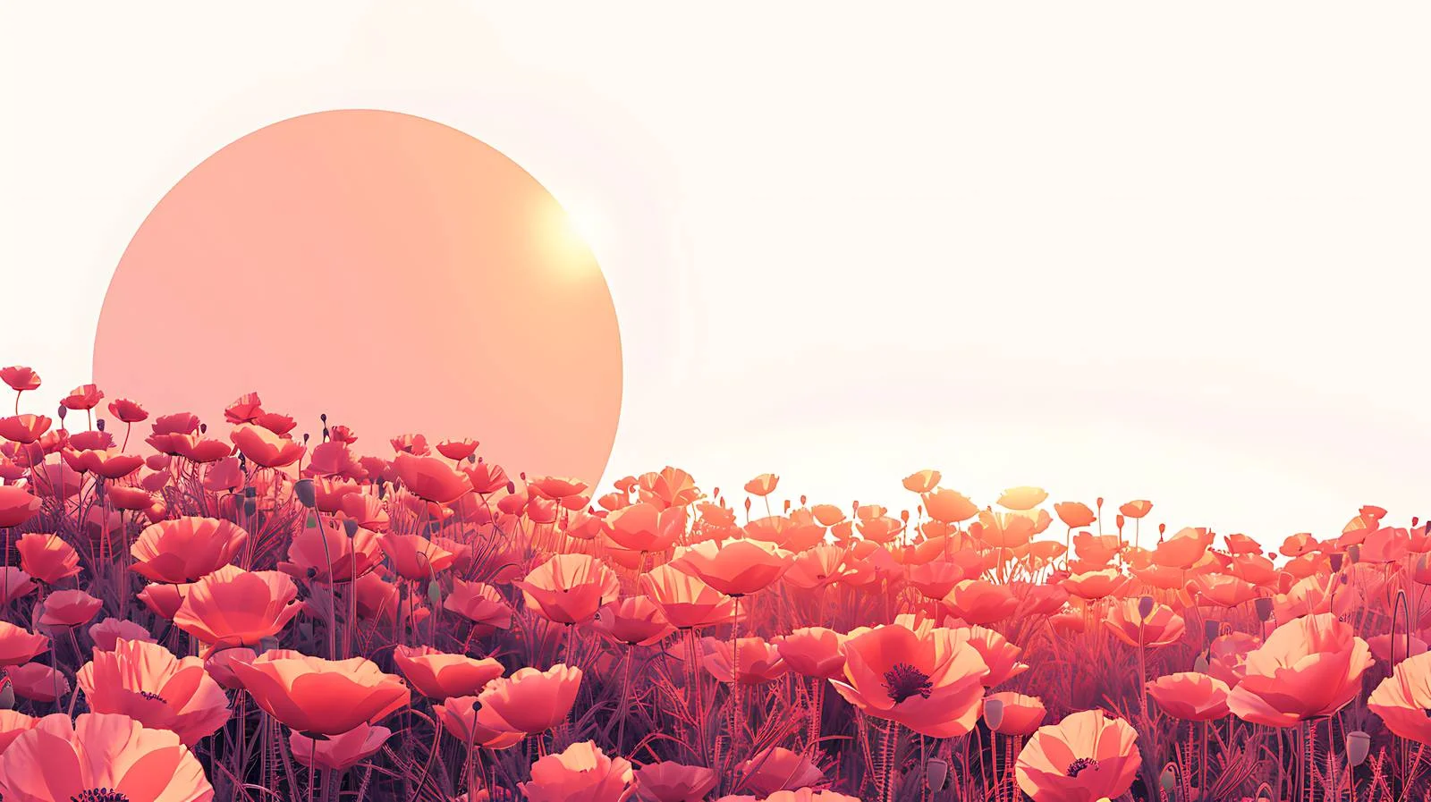 Vibrant summer sunset over poppy meadow — free download from Dotvec