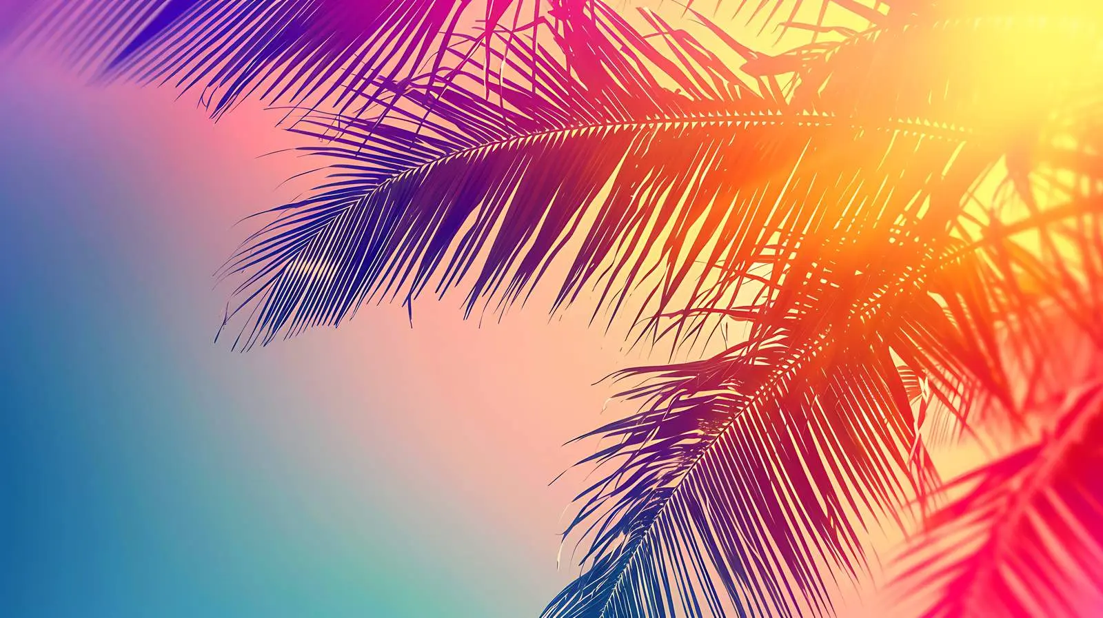 Tropical Coconut Palm Branch Minimalistic Pattern – free coconut image from Dotvec