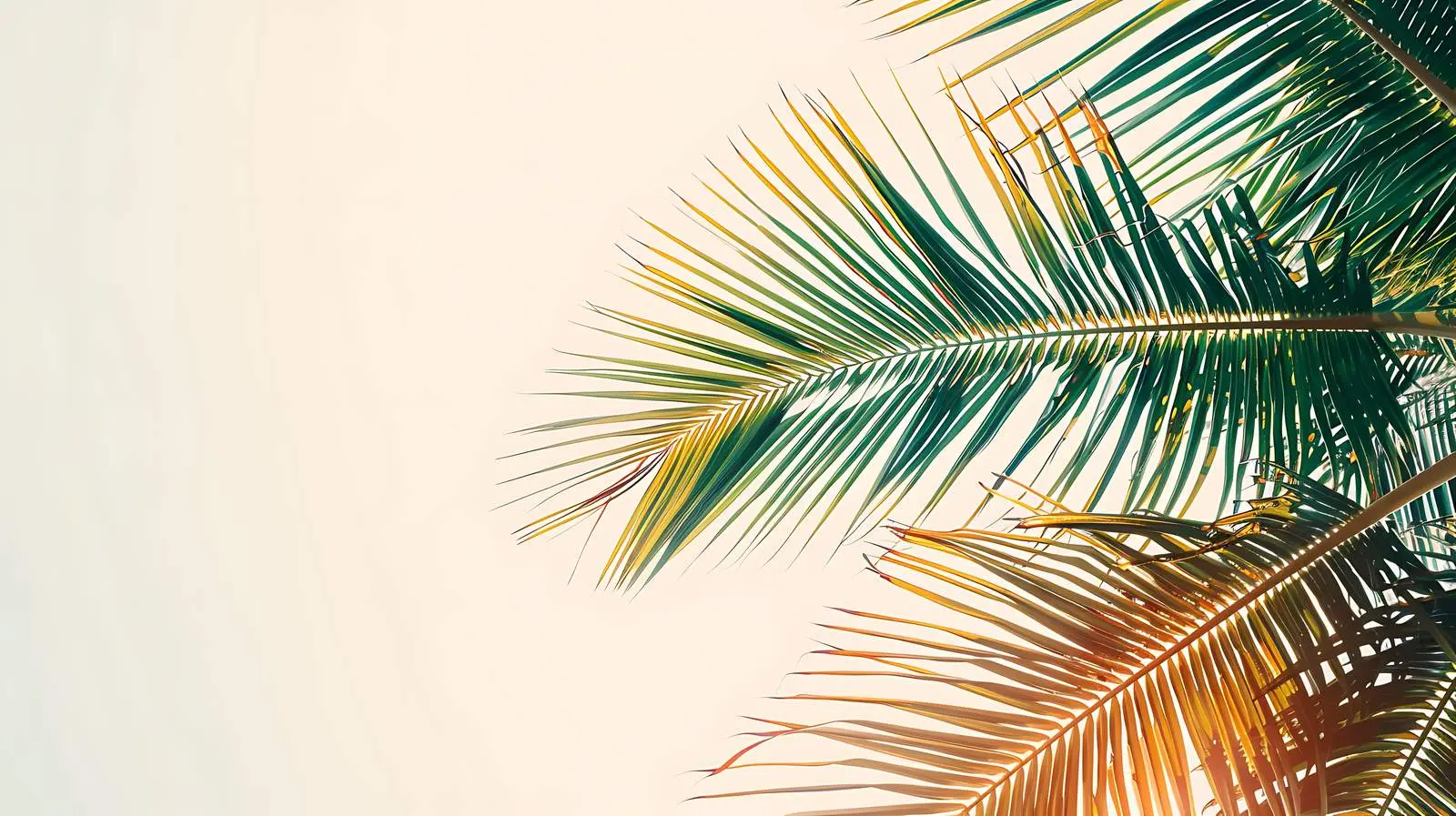 Colorful Coconut Palm Branch in Tropical Setting — free download from Dotvec