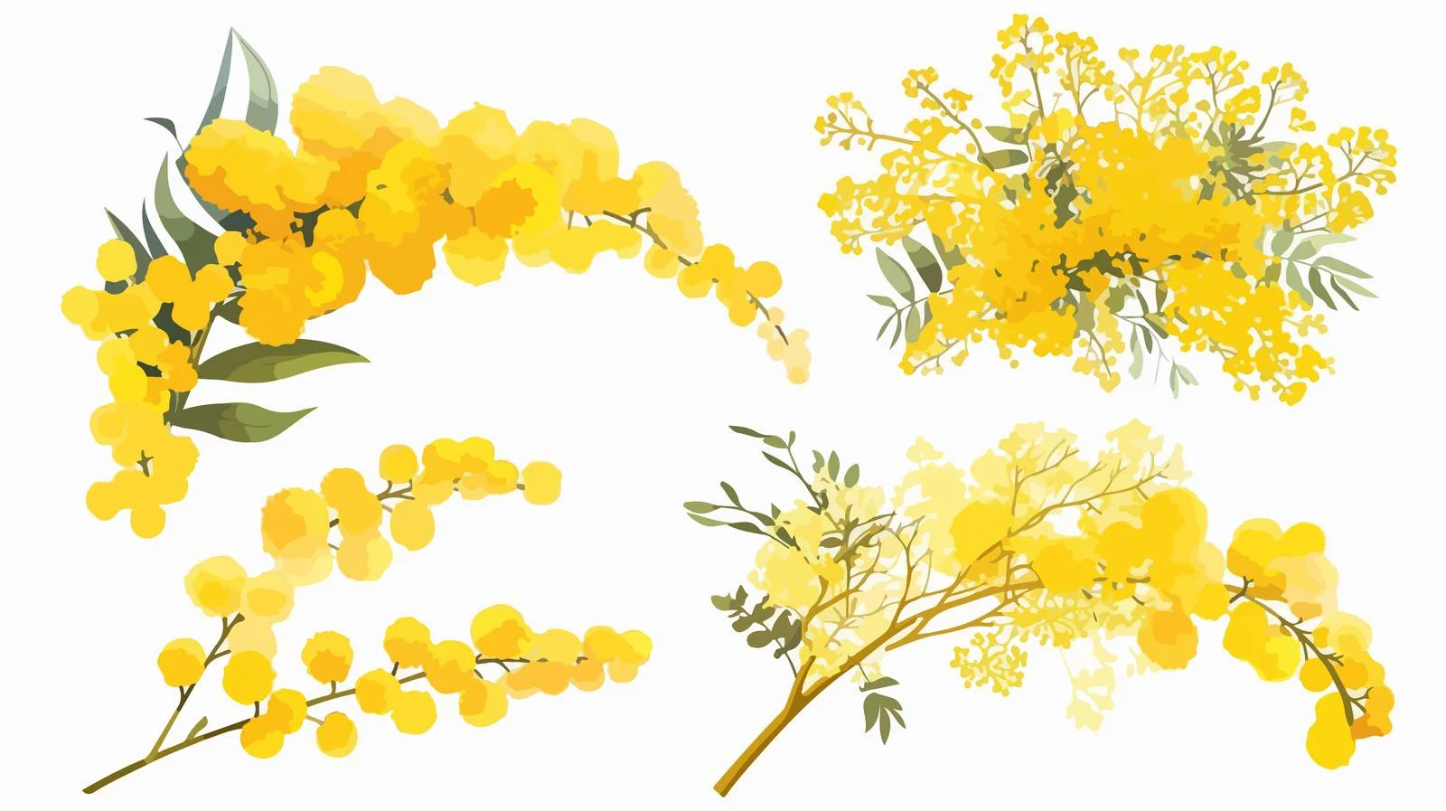 Vibrant Yellow Mimosa Blooms Close-Up Shot – free inflorescences image from Dotvec