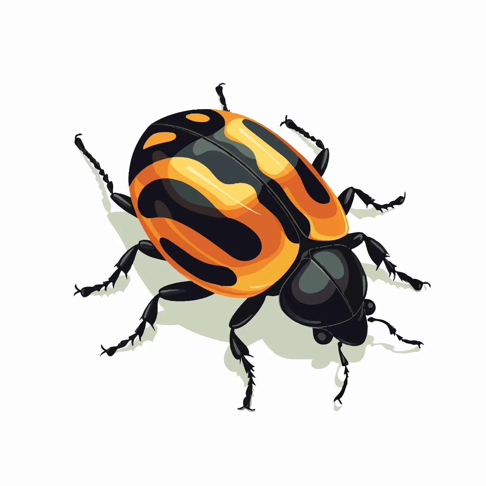 Beetle Vector Illustration on White Background — free download from Dotvec