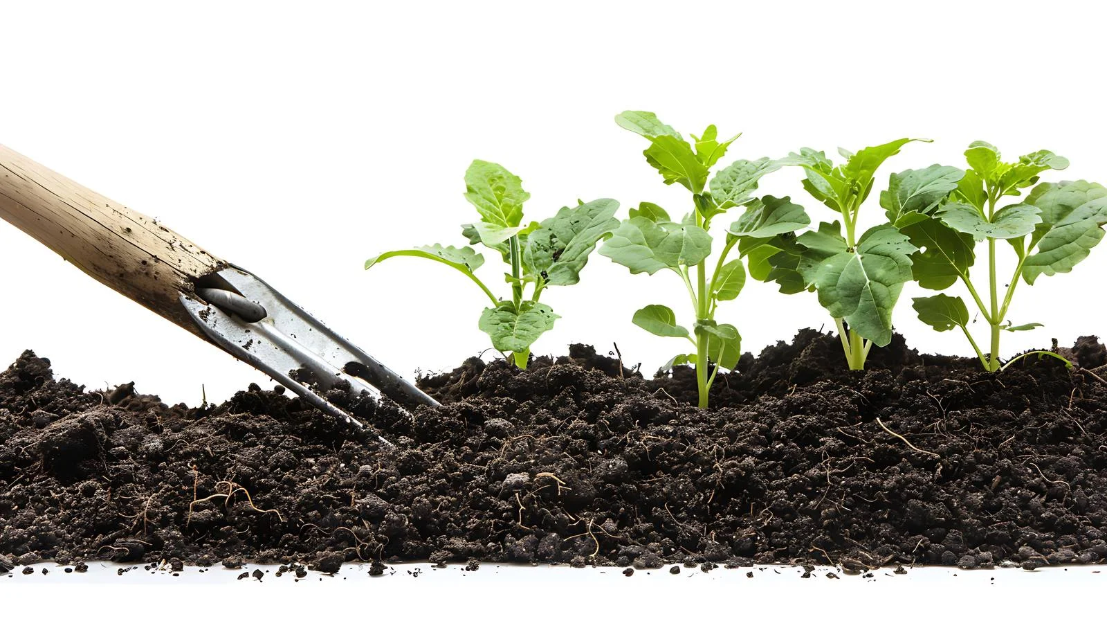 Gardeners Prepare Soil with a Hoe — free download from Dotvec
