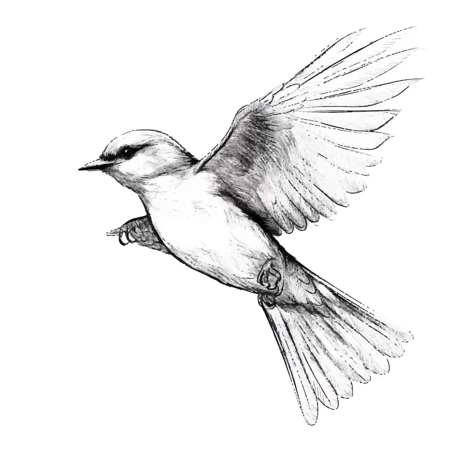 Cartoon Vector Illustration of a Flying Bird — free download from Dotvec