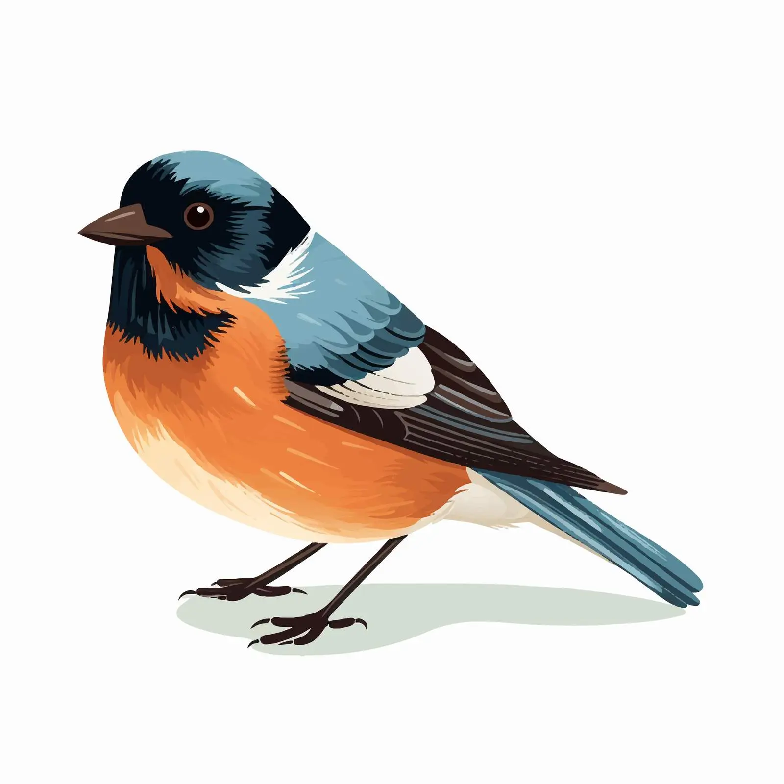 Top View Bird Vector Illustration on White Background — free download from Dotvec