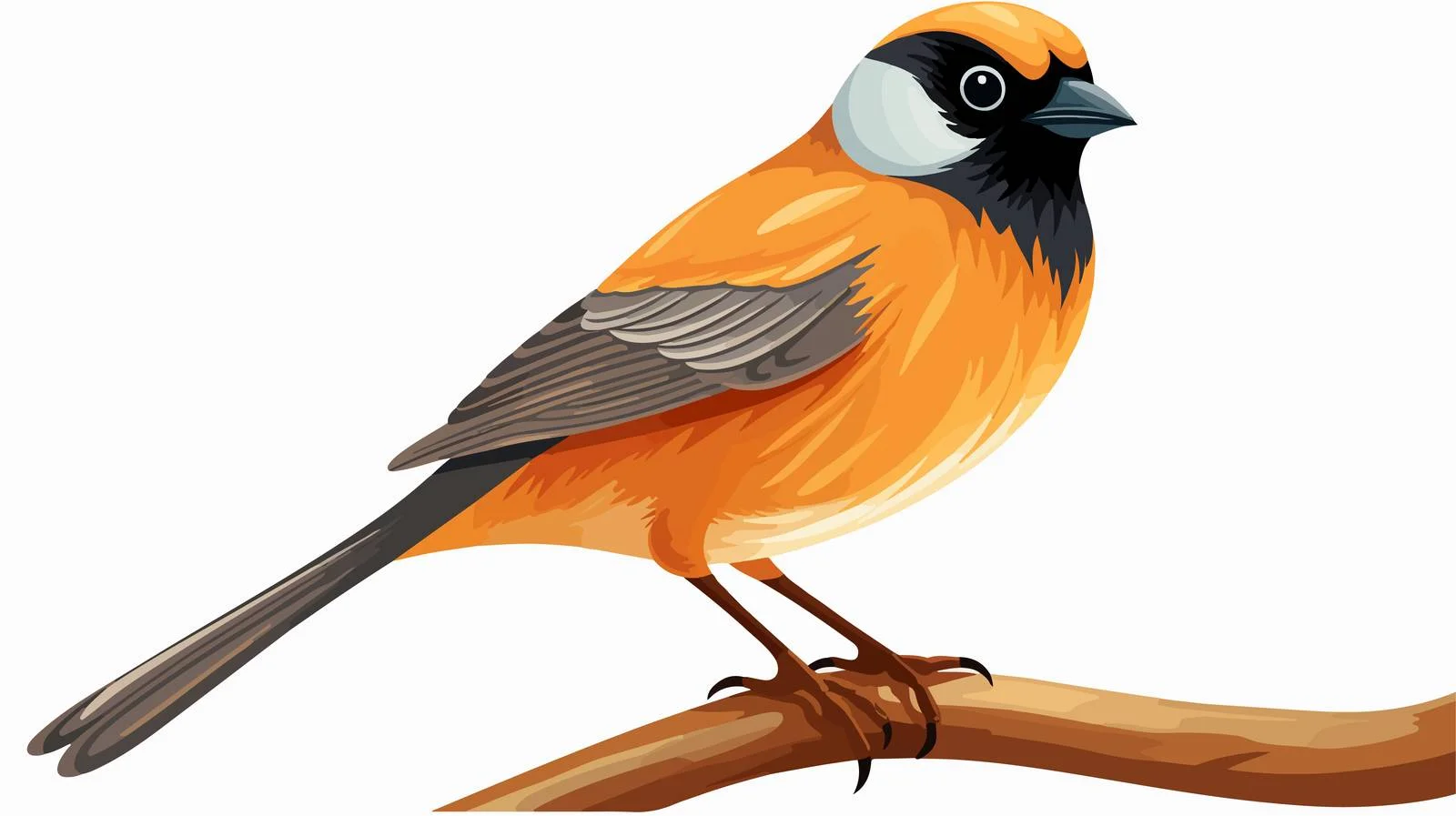Cartoon Bird Vector Illustration — free download from Dotvec