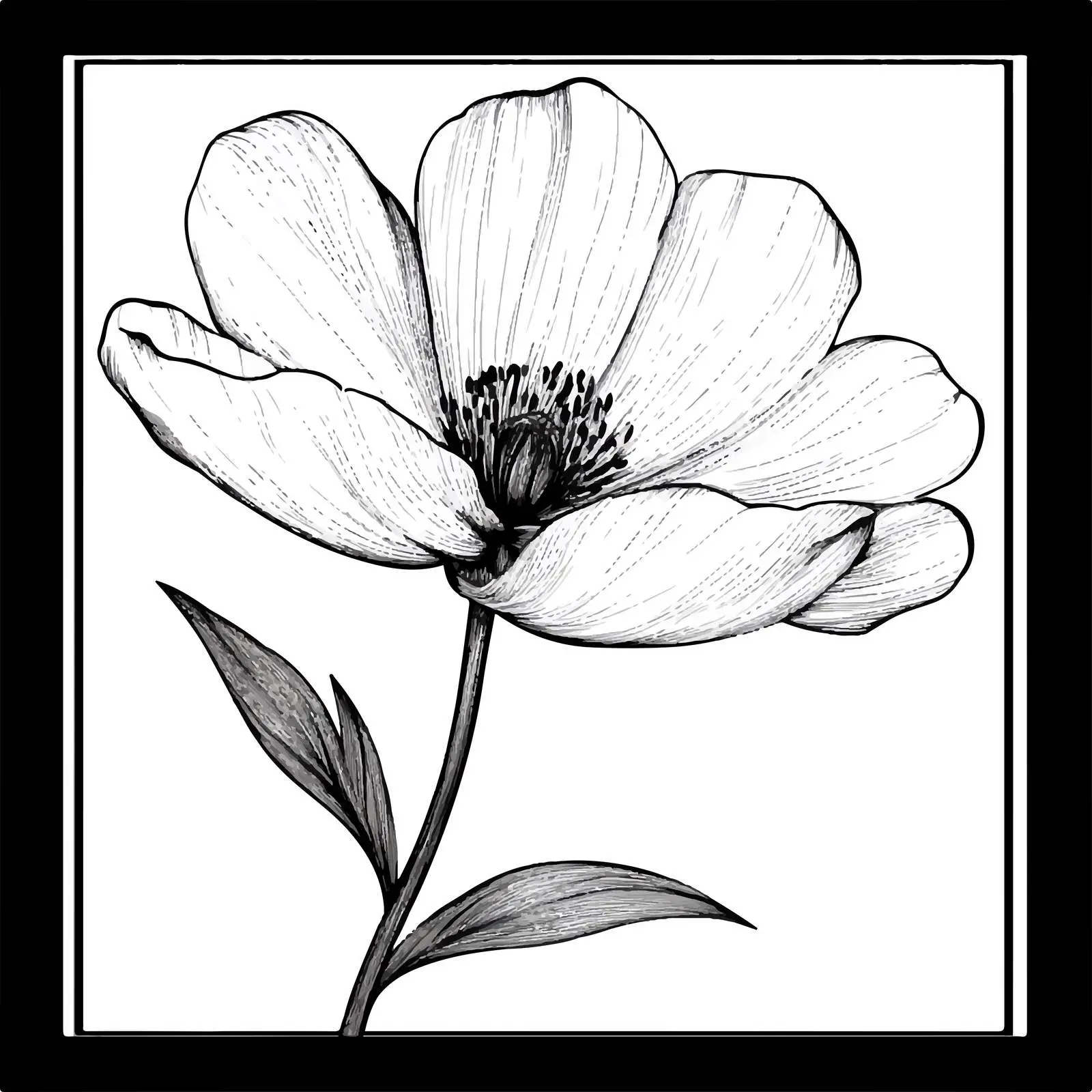 Black and White Flower Vector Illustration — free download from Dotvec