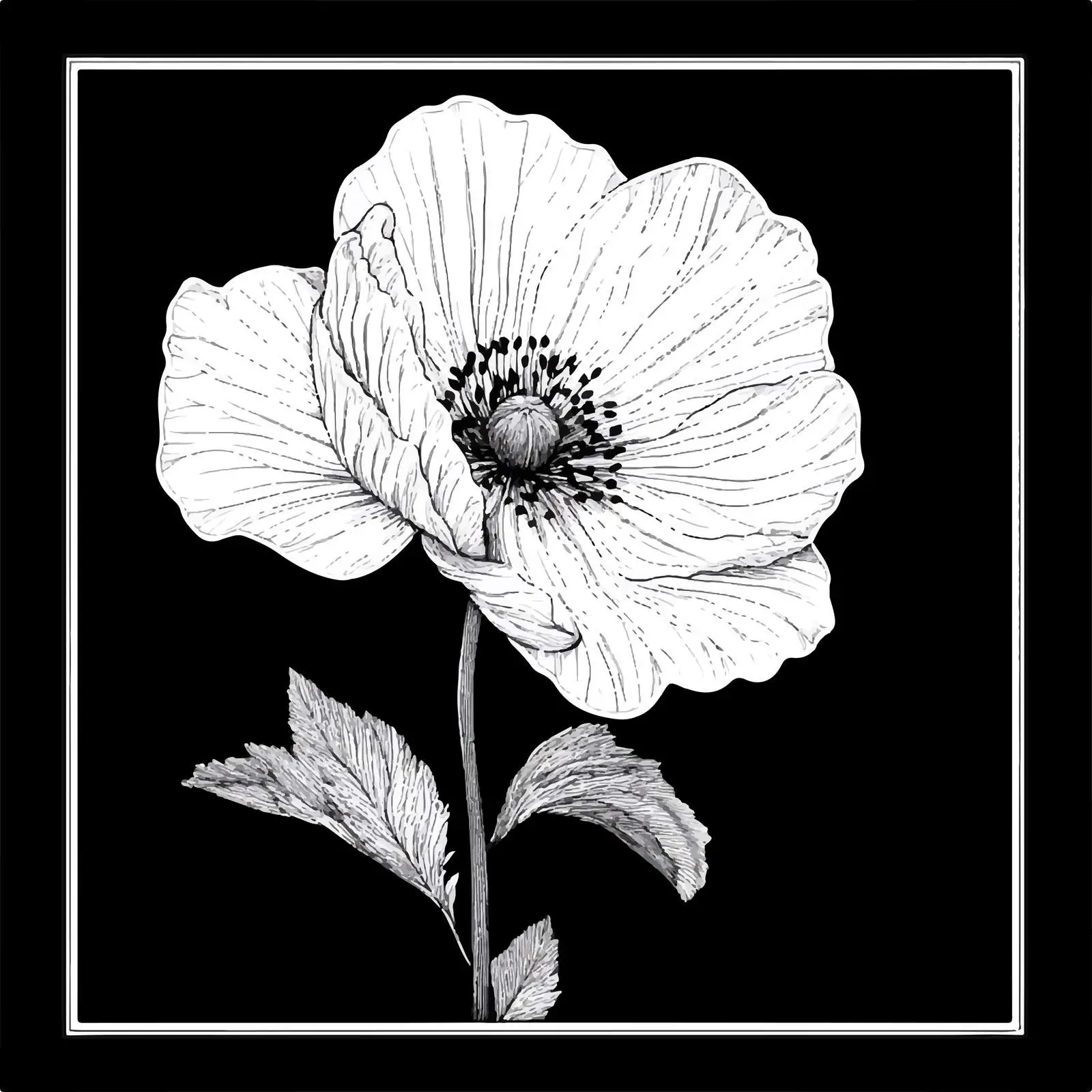 Black and White Flower Vector Illustration — free download from Dotvec