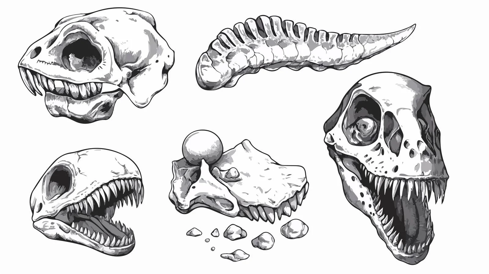 Ancient Fossil Cartoon Illustration — free download from Dotvec
