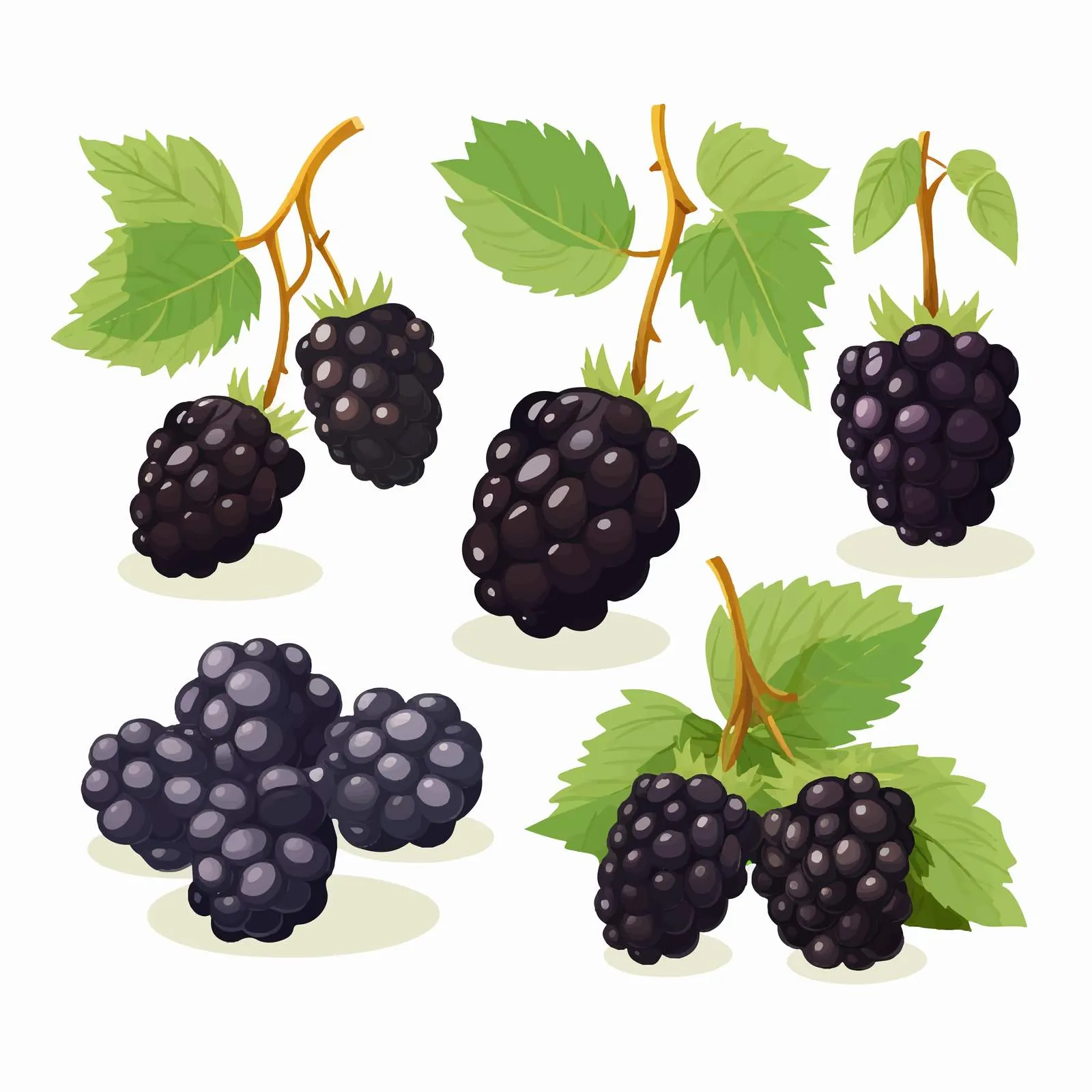 Wild Blackberries Composition in Sweet Forest — free download from Dotvec