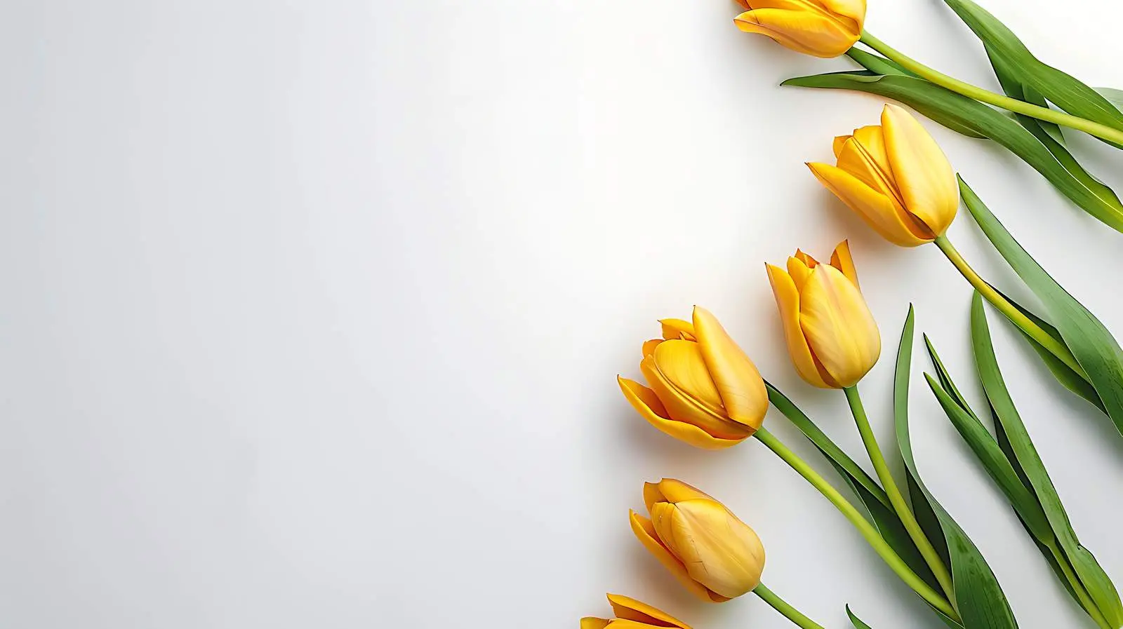 Blank Branding Paper Card Mockup — free download from Dotvec