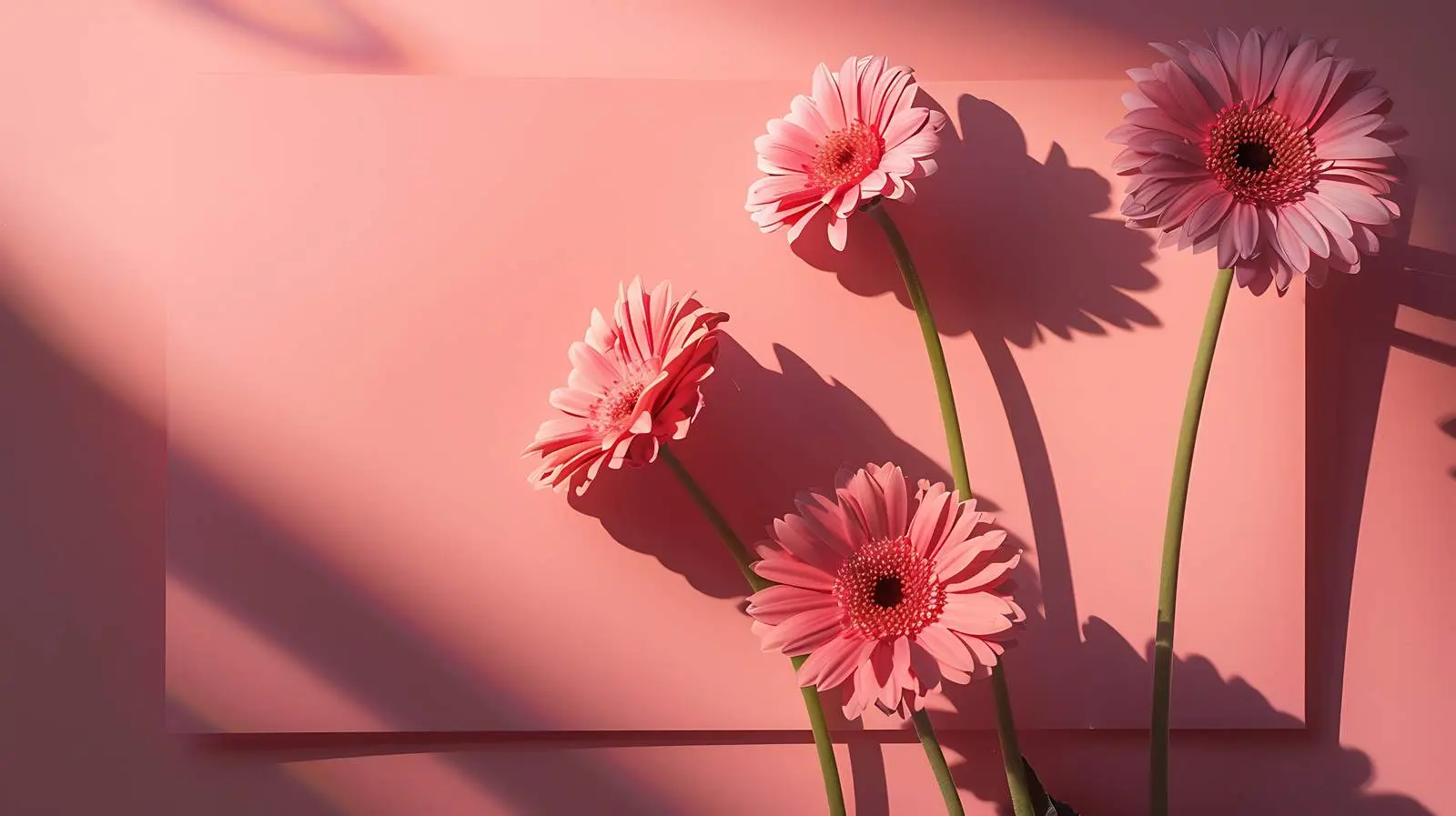 Pink Gerber Flowers on Salmon Card Sheet — free download from Dotvec