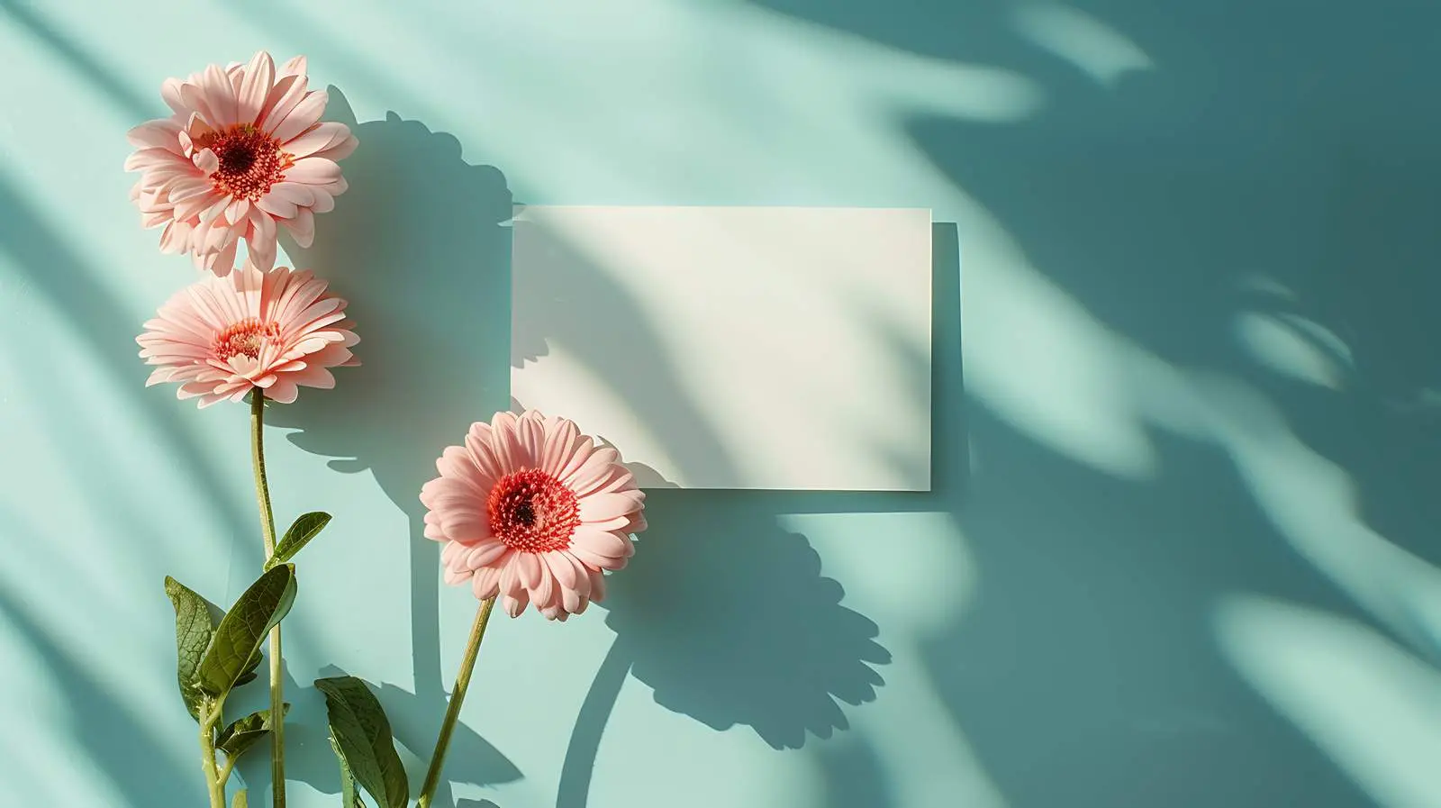 Blank Card Sheets on Pink Gerber Flowers — free download from Dotvec