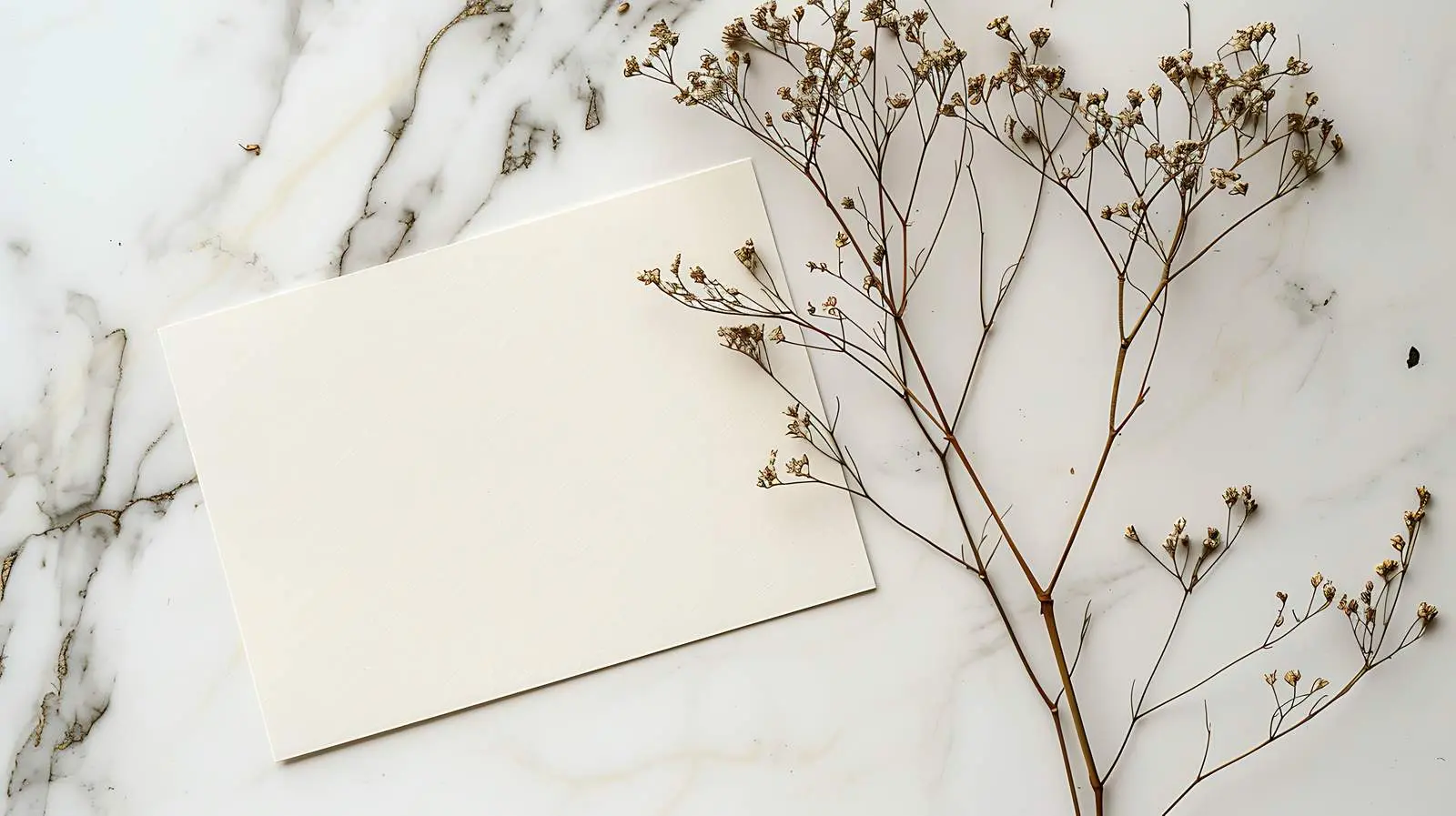 Dried Flower on Blank Paper Card Background — free download from Dotvec