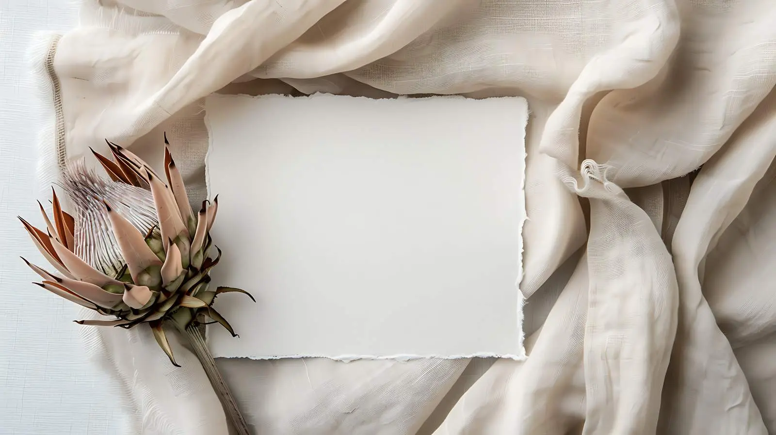 Dried Protea Flower on Blank Card — free download from Dotvec