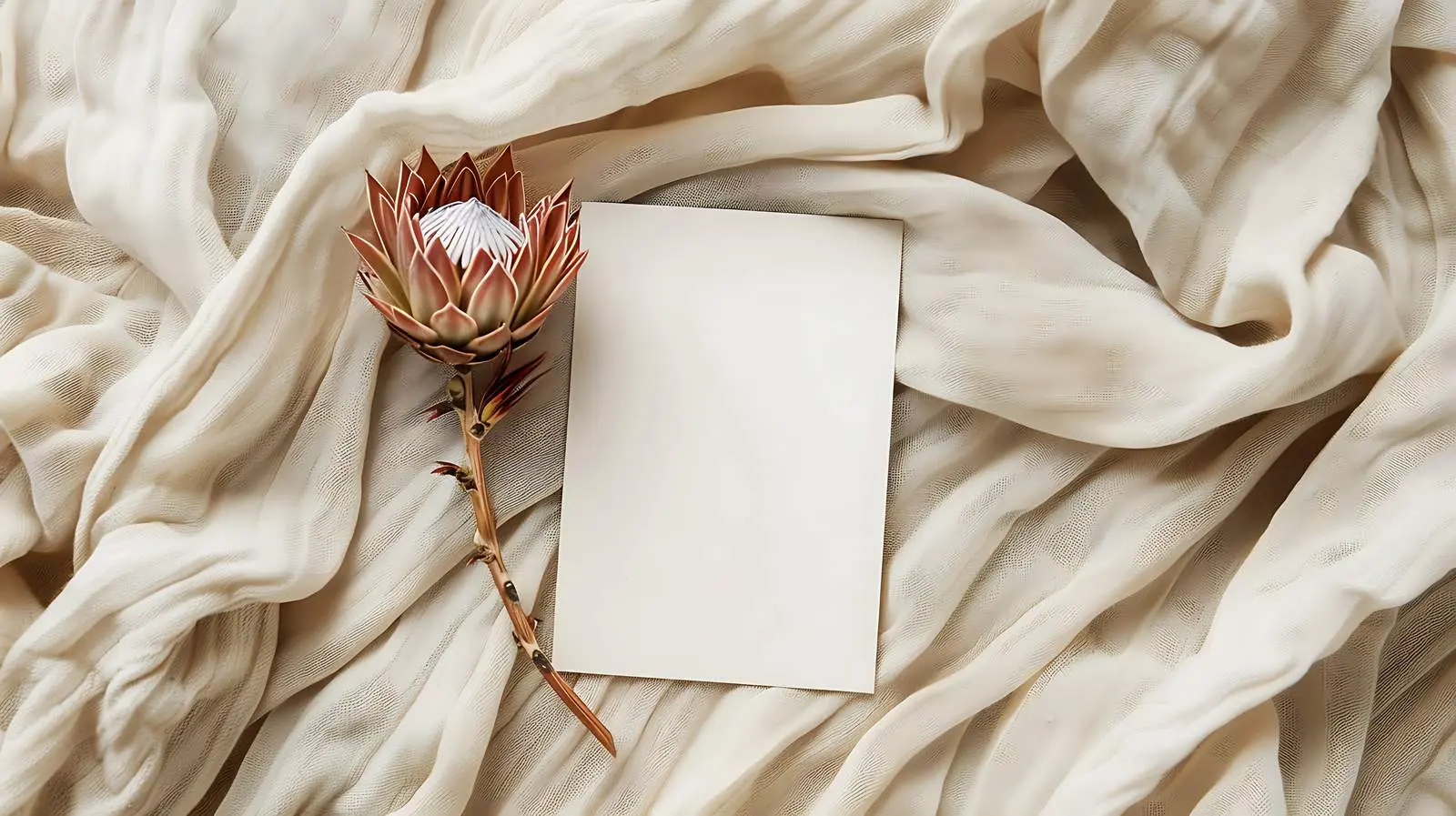 Dried Protea Flower on Blank Card – free stylish card image from Dotvec