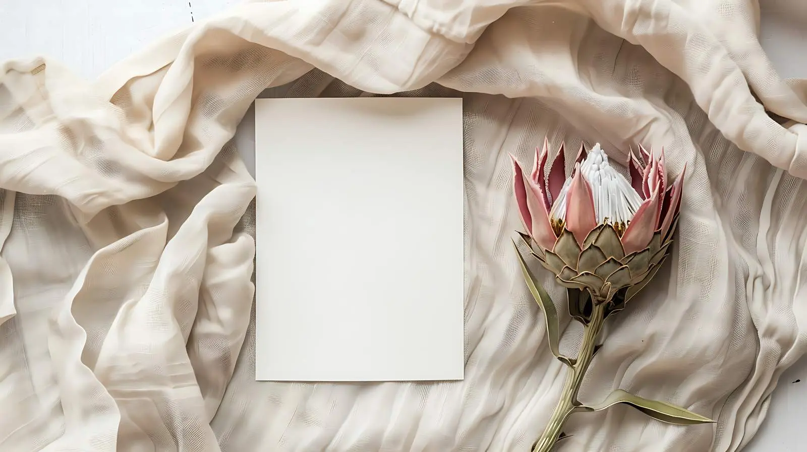 Blank Card with Dried Protea Flower Design — free download from Dotvec