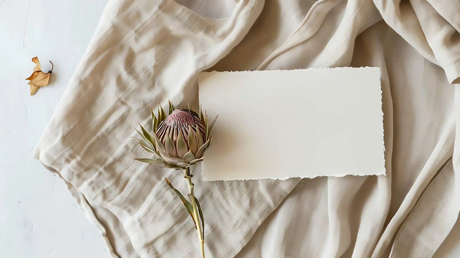 Dried Protea Flower on Blank Paper Card — free download from Dotvec