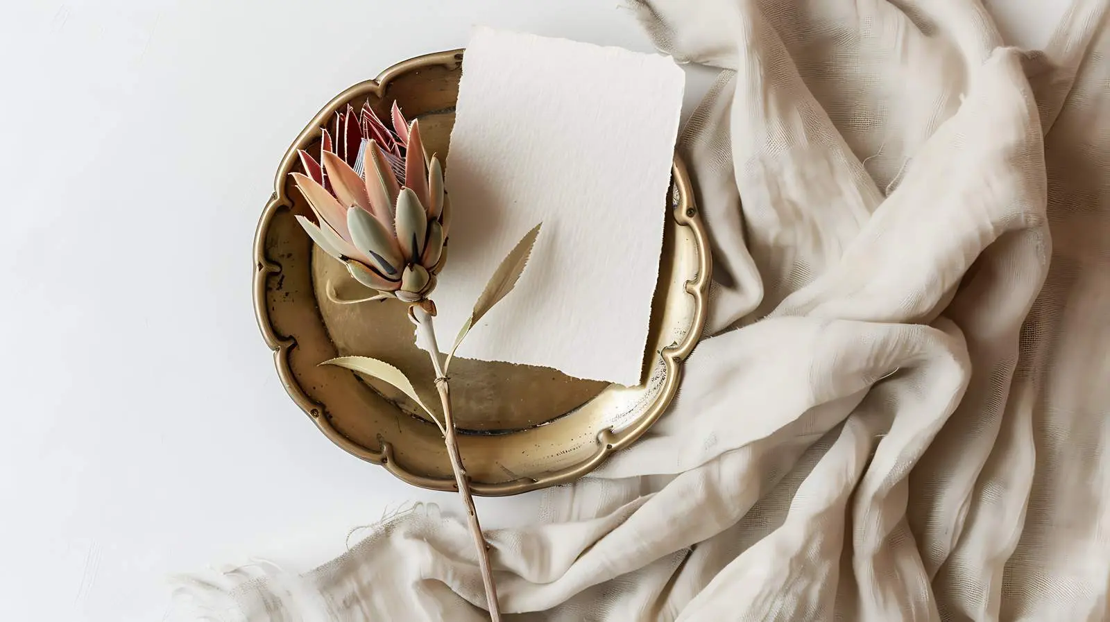 Blank Paper Card on Brass Plate with Dried Protea – free stylish card image from Dotvec