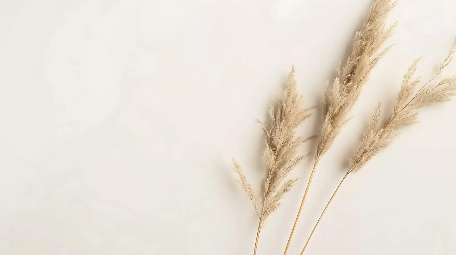 Elegant Blank Paper Card Mockup with Rabbit — free download from Dotvec