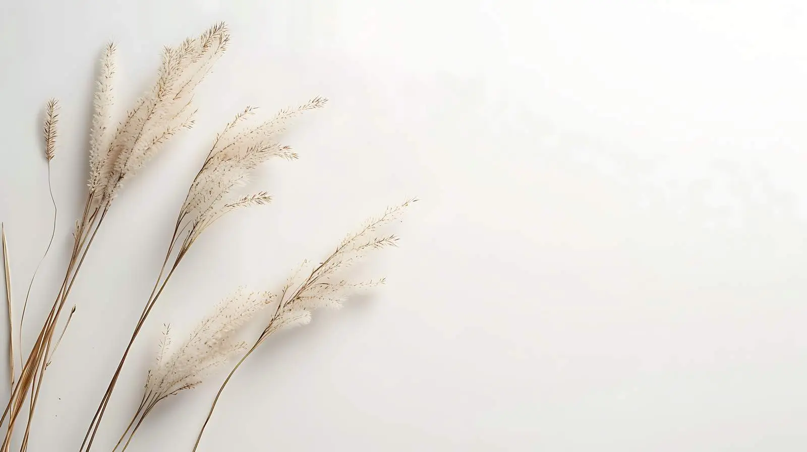 Elegant Blank Paper Card Mockup with Space — free download from Dotvec