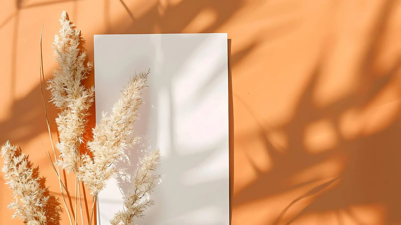 Blank Paper Invitation Card Mockup — free download from Dotvec