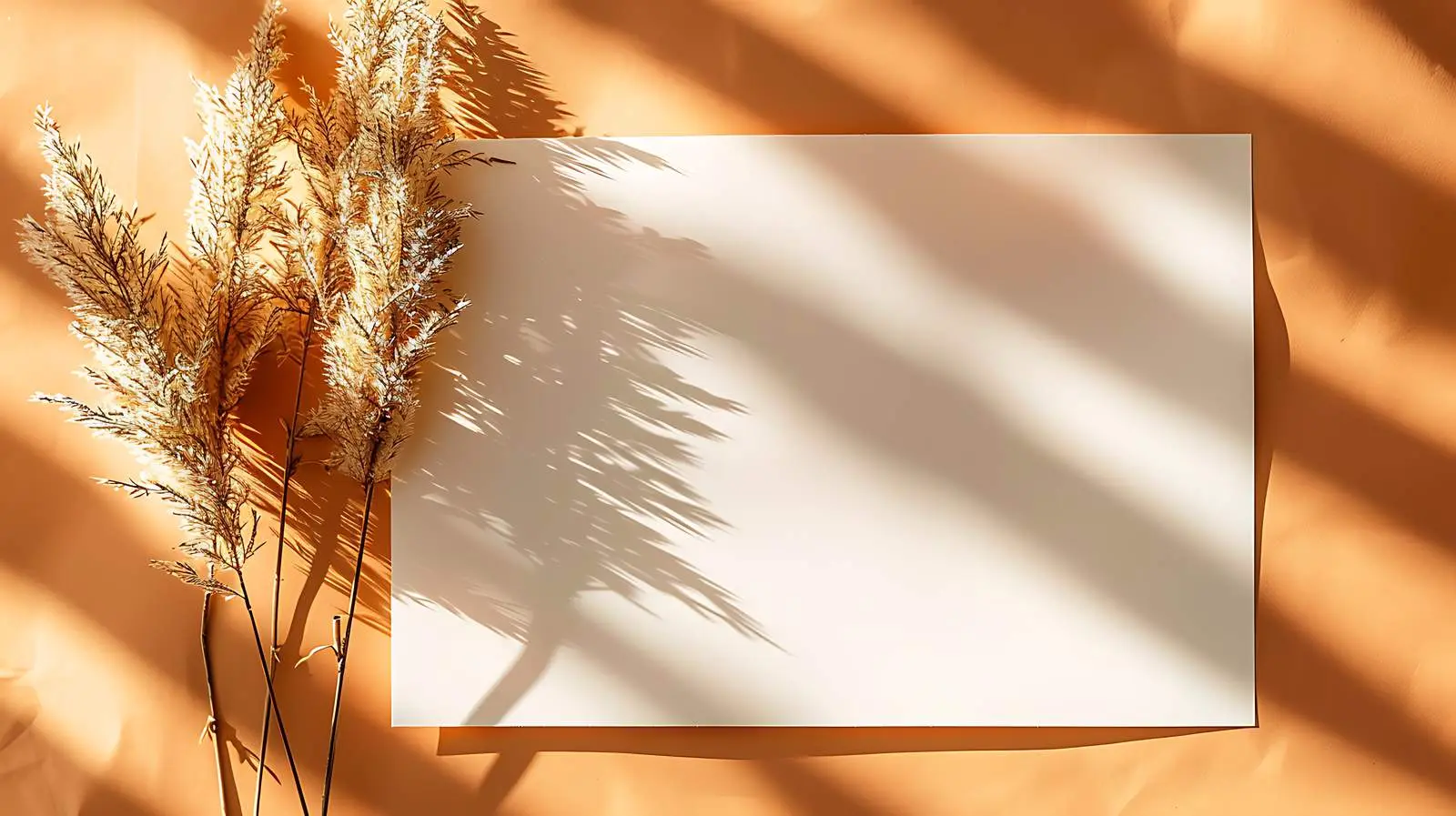 Blank Invitation Card Mockup Template — free download from Dotvec