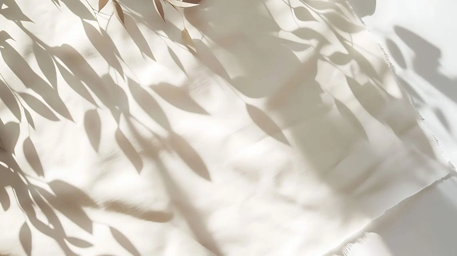 Blank Paper Invitation Card with Sunlight Shadow — free download from Dotvec